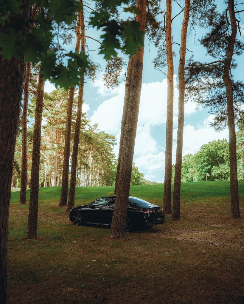 A black car parked beneath tall pine trees in a grassy area with a clear blue sky.